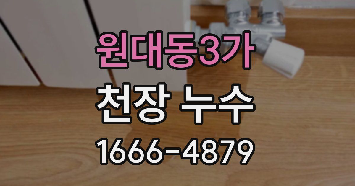 원대동3가 천장 누수