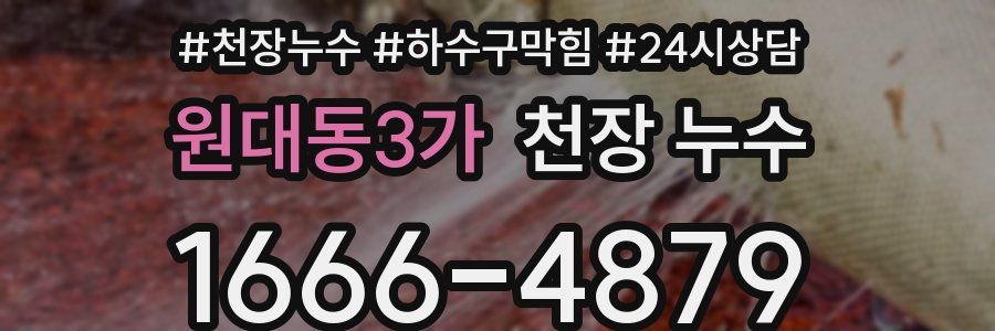 원대동3가 천장 누수