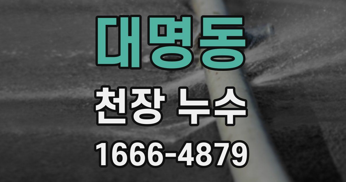 대명동 천장 누수