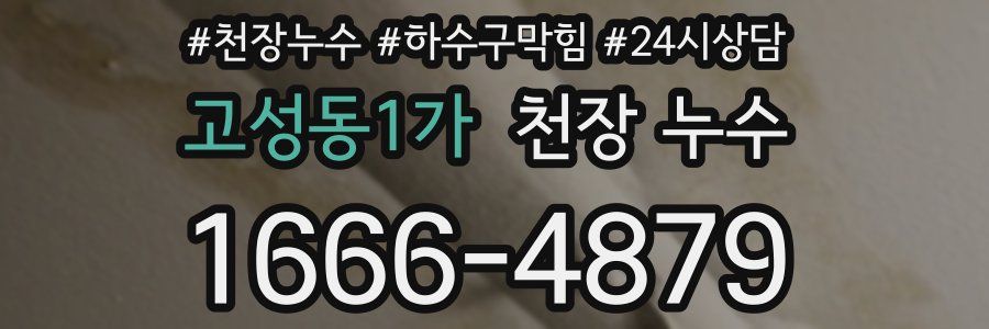 고성동1가 천장 누수