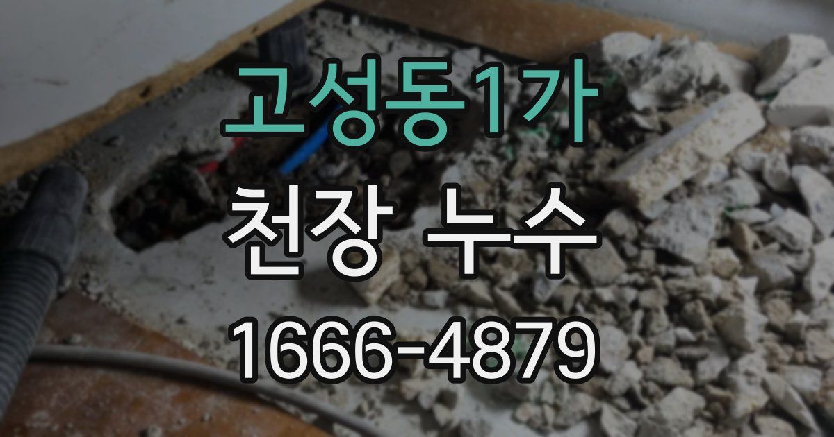 고성동1가 천장 누수