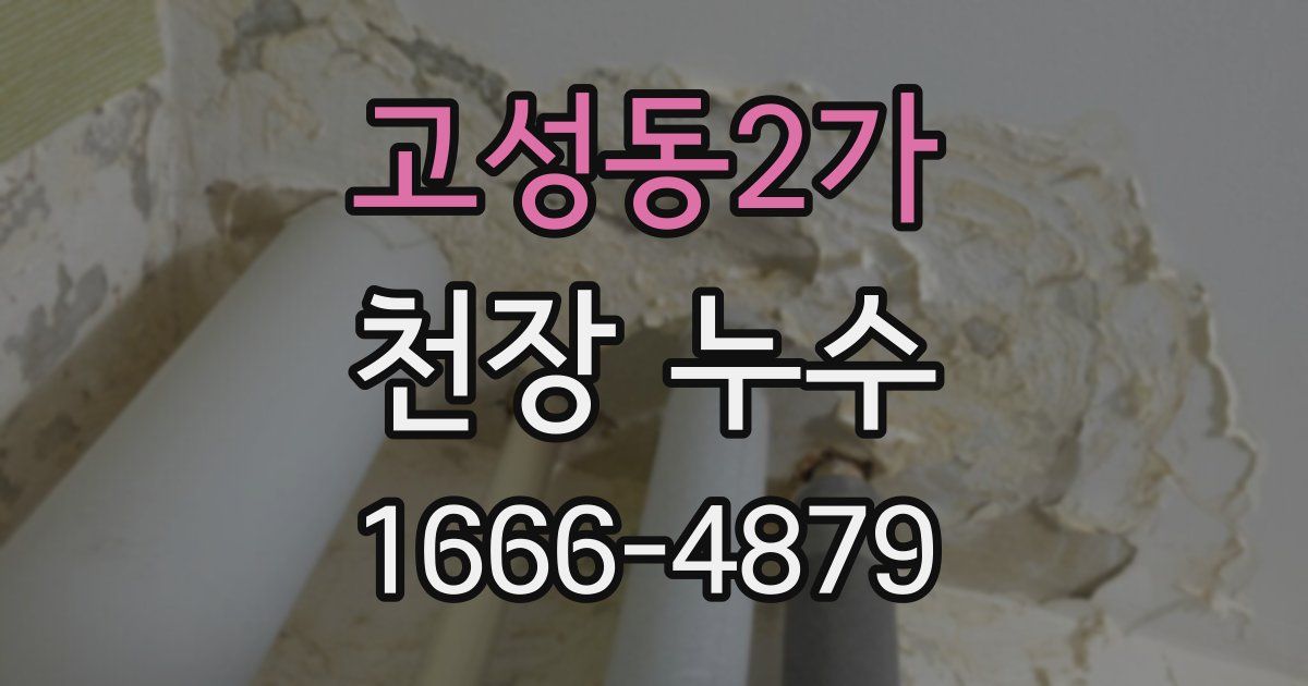 고성동2가 천장 누수