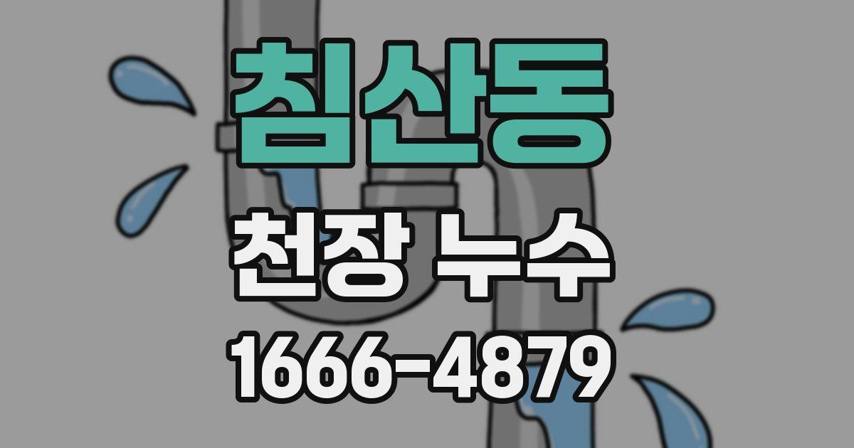 침산동 천장 누수