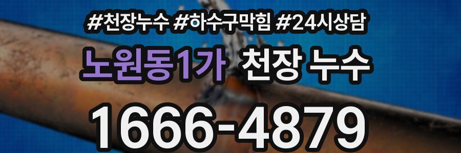 노원동1가 천장 누수