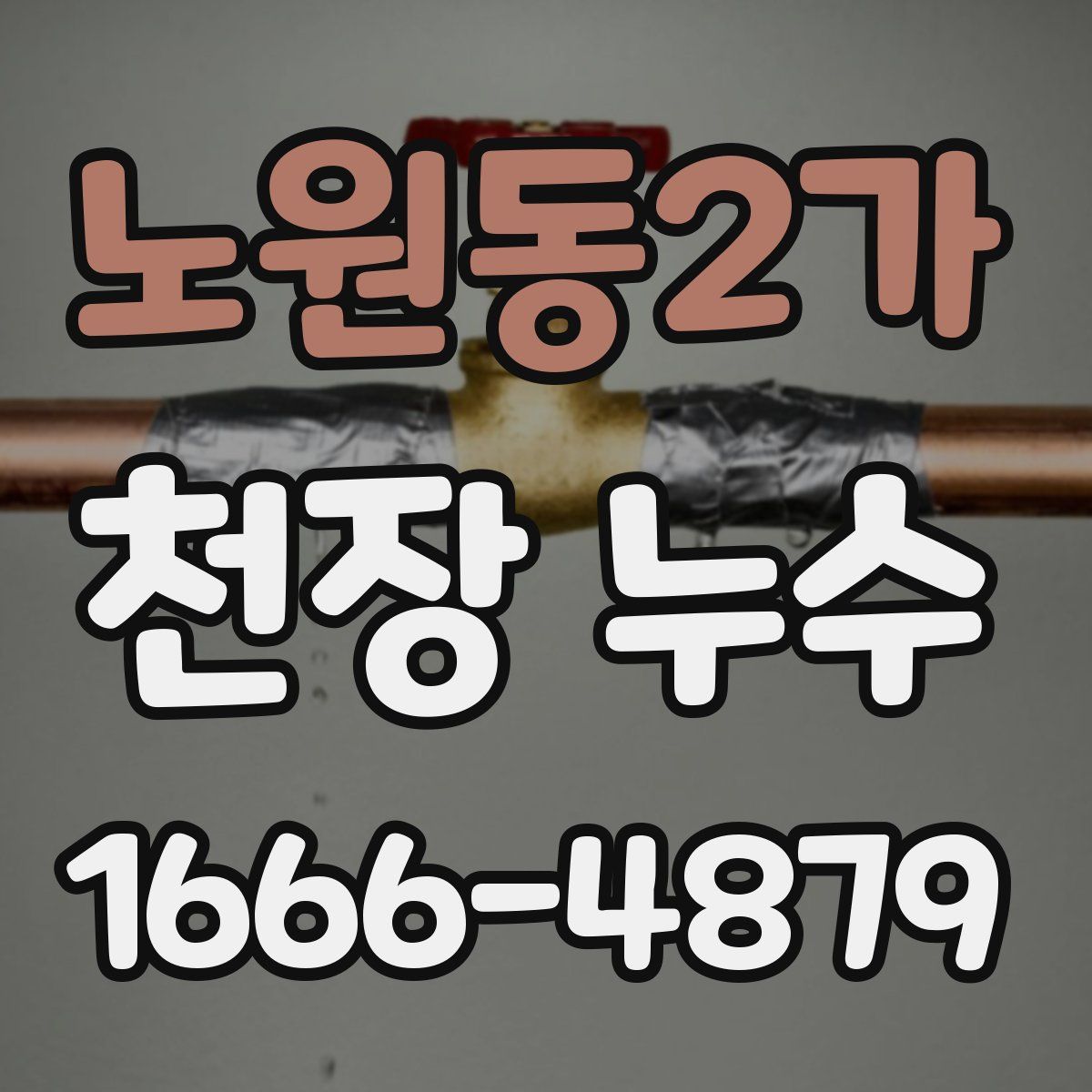 노원동2가 천장 누수