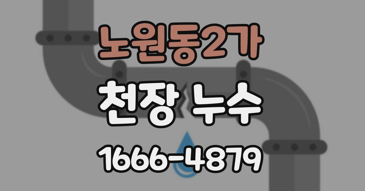 노원동2가 천장 누수