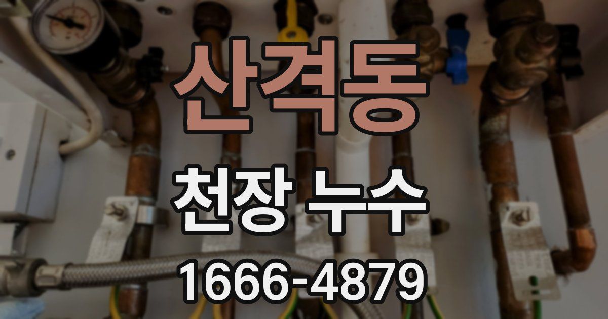 산격동 천장 누수