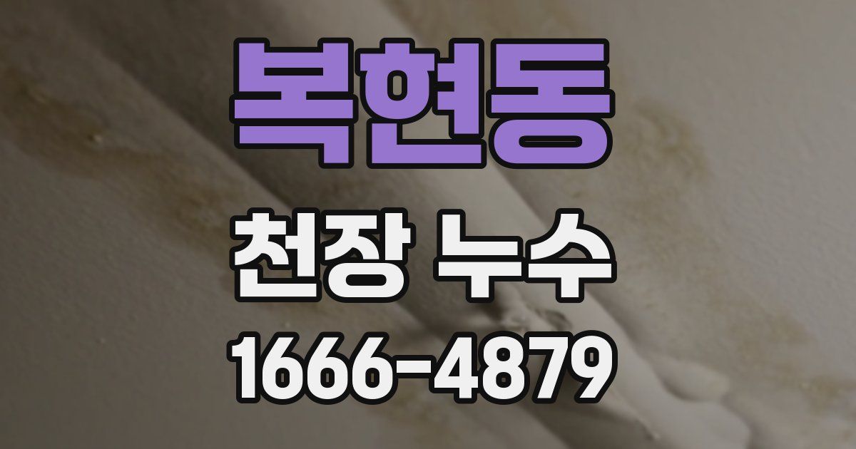 복현동 천장 누수