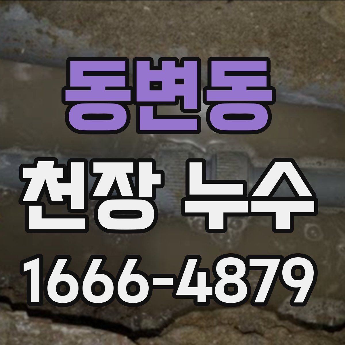 동변동 천장 누수 기록과 순서가 해결을 좌우합니다