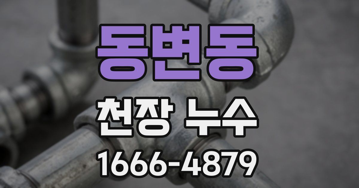 동변동 천장 누수