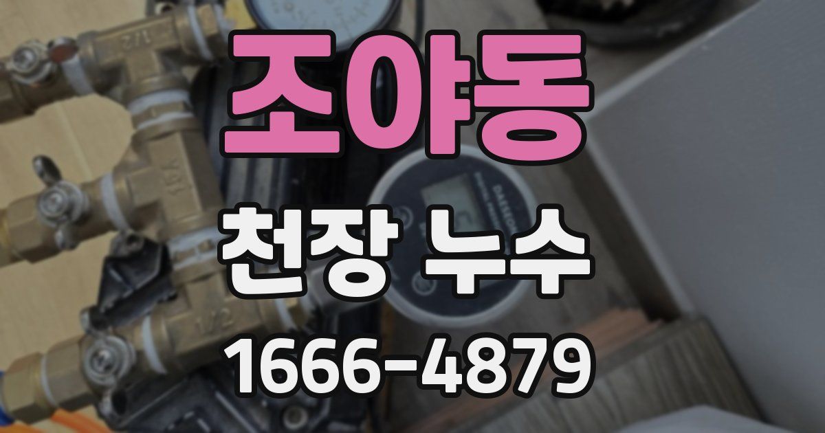 조야동 천장 누수