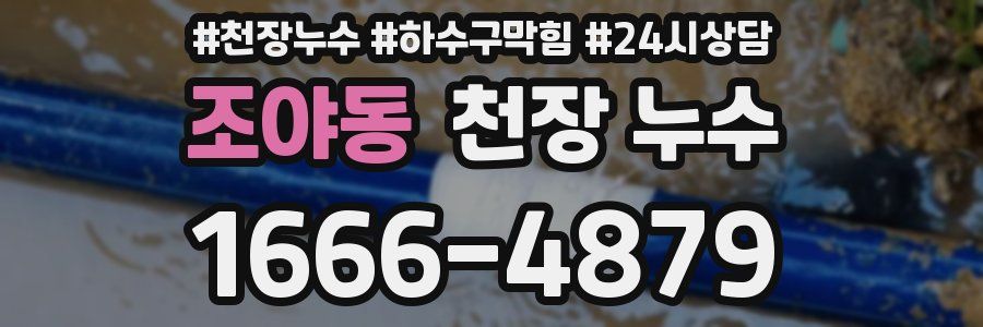 조야동 천장 누수