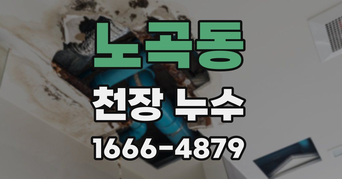 노곡동 천장 누수