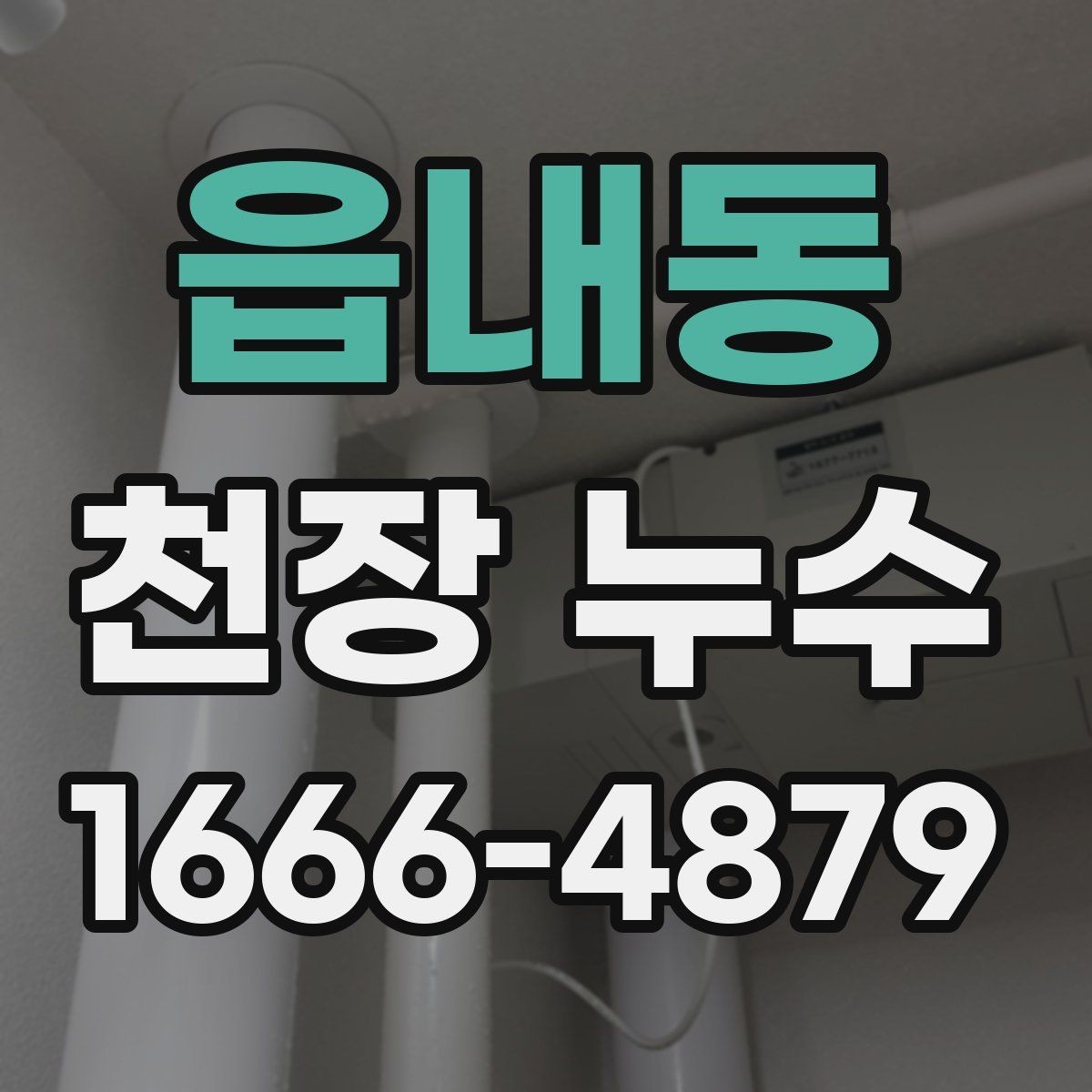 읍내동 천장 누수 천장 누수 원인 확인부터 복구까지 흐름 정리