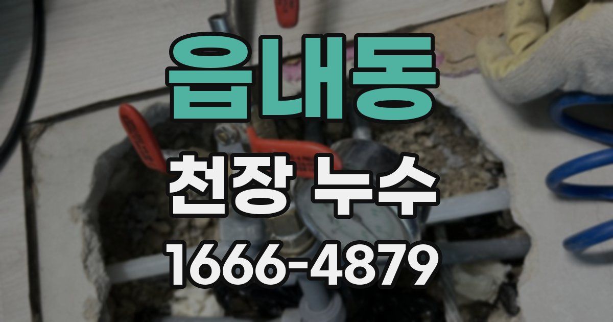 읍내동 천장 누수