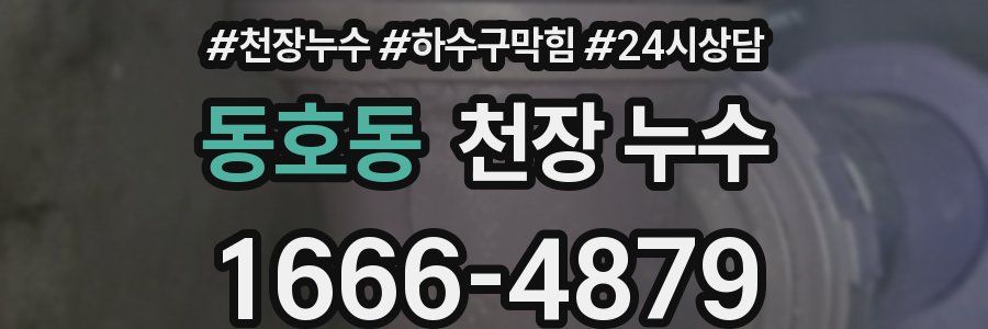 동호동 천장 누수