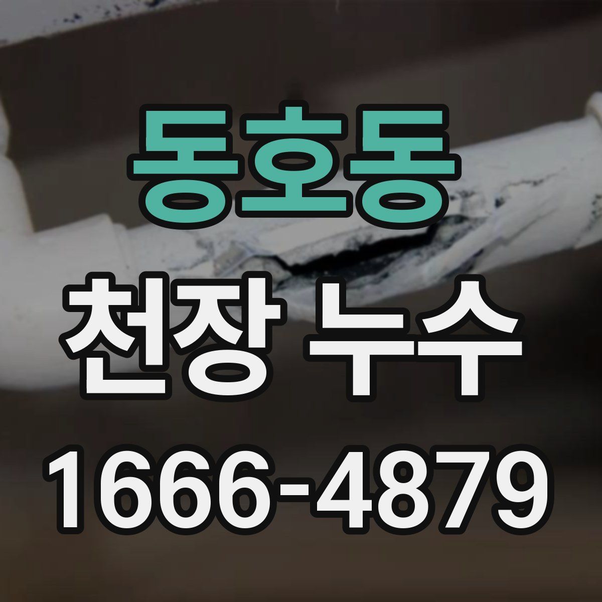 동호동 천장 누수