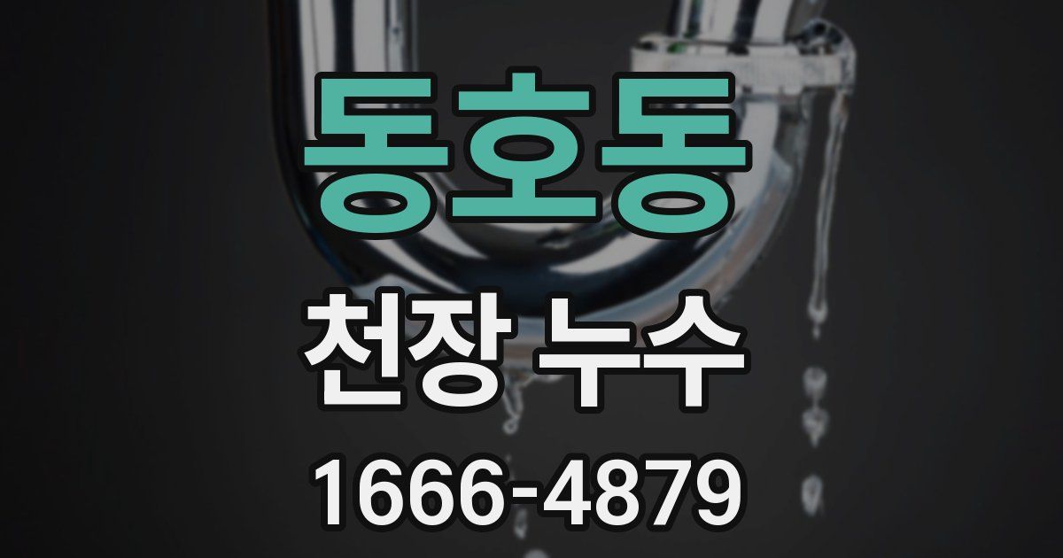 동호동 천장 누수