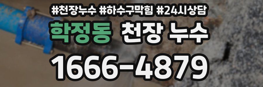 학정동 천장 누수