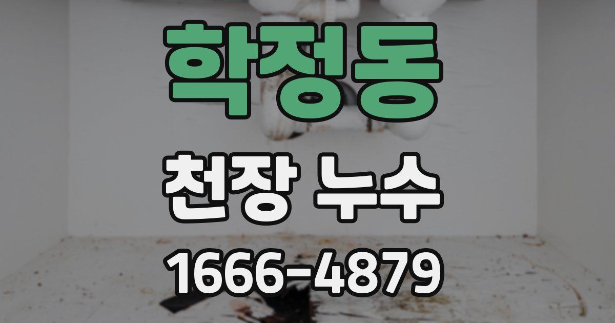 학정동 천장 누수