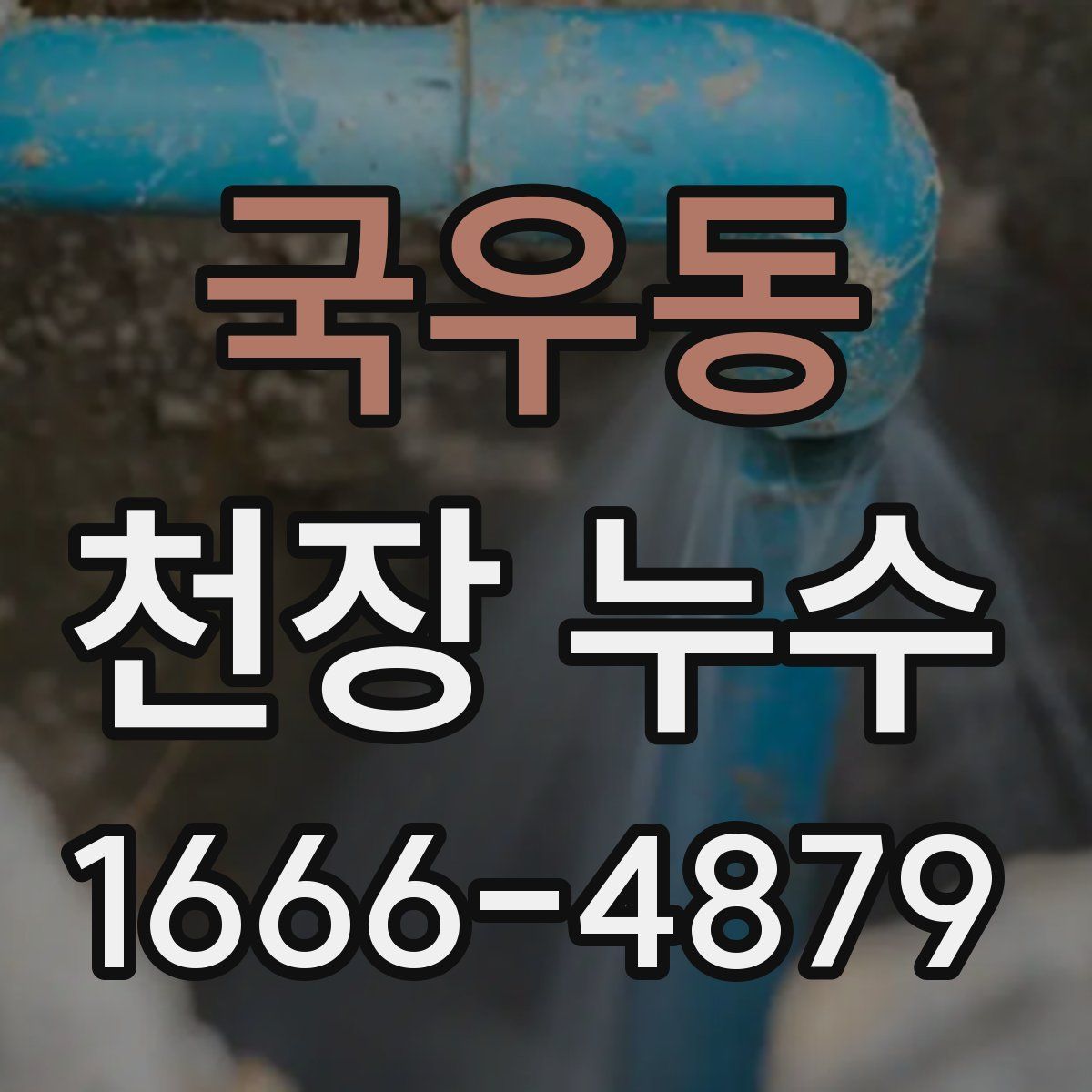 국우동 천장 누수