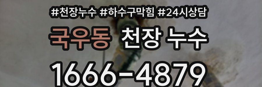 국우동 천장 누수
