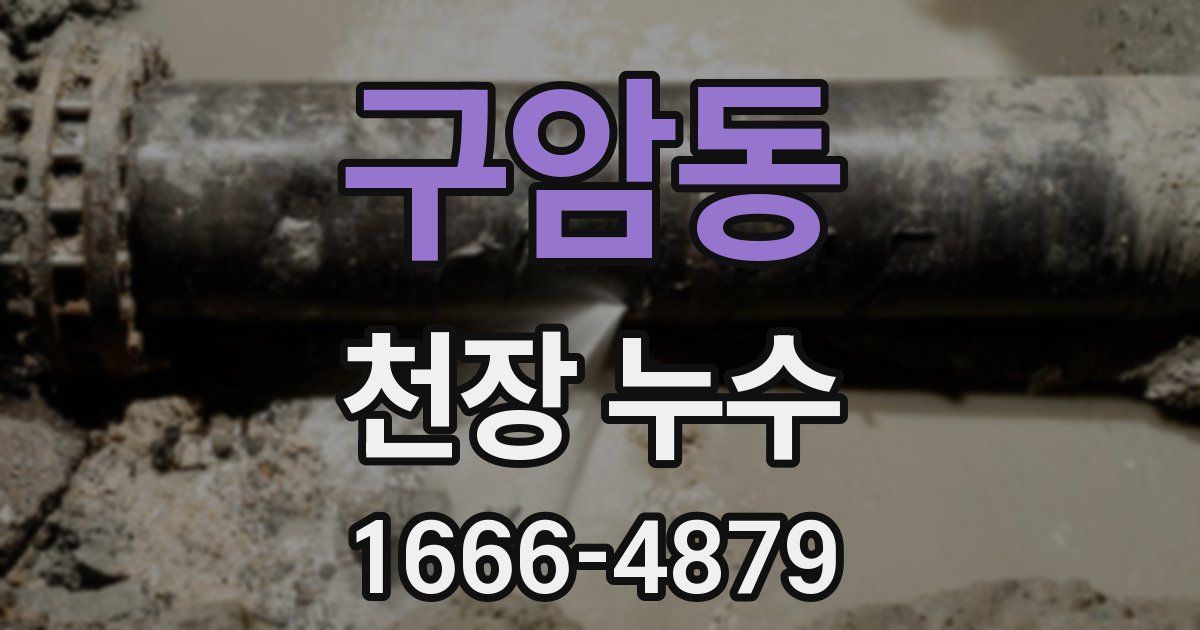 구암동 천장 누수