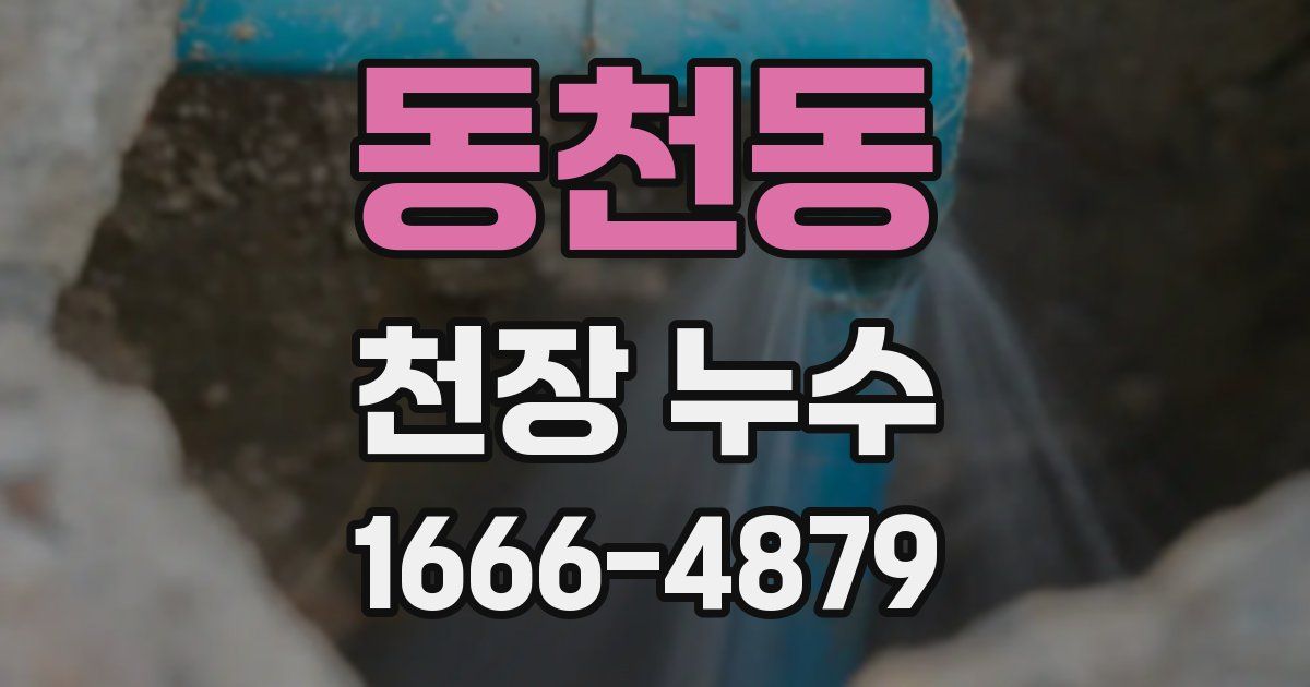 동천동 천장 누수