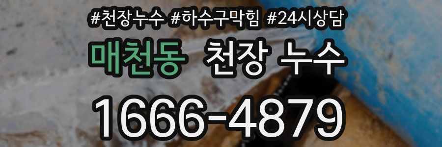매천동 천장 누수