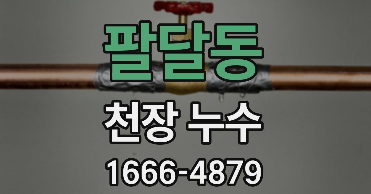팔달동 천장 누수