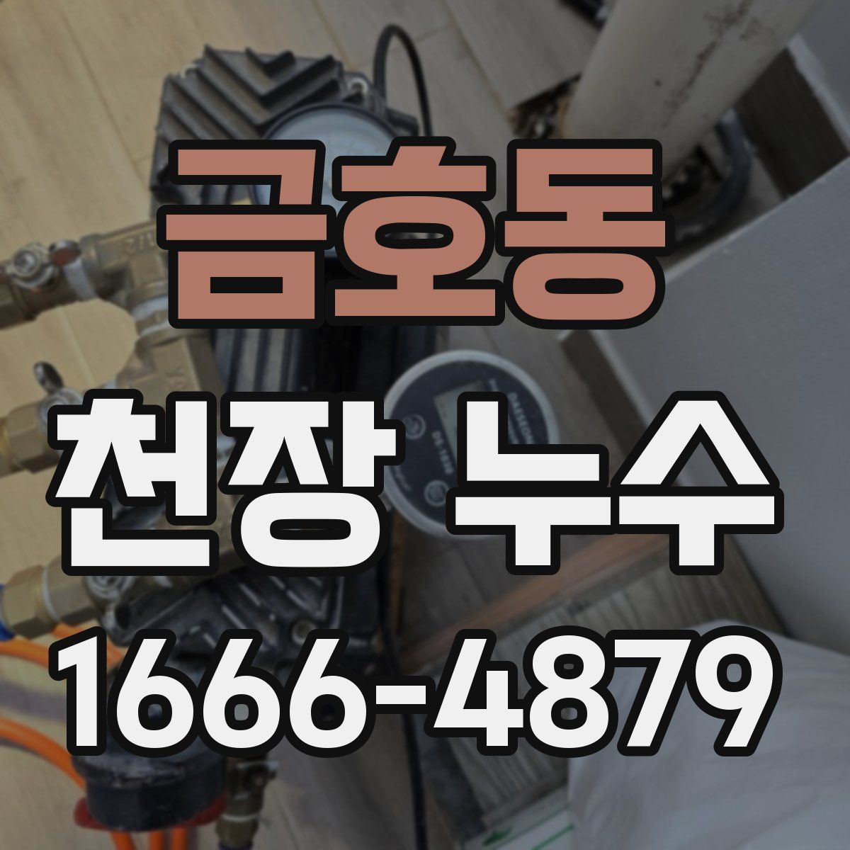 금호동 천장 누수