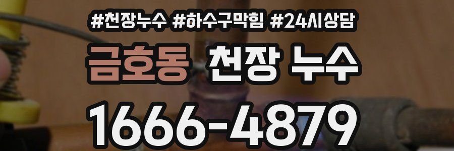 금호동 천장 누수