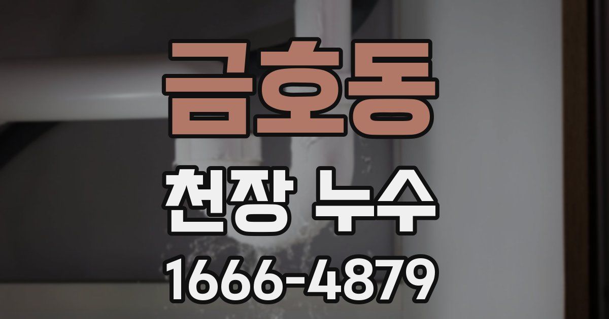 금호동 천장 누수