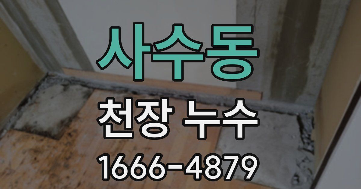 사수동 천장 누수