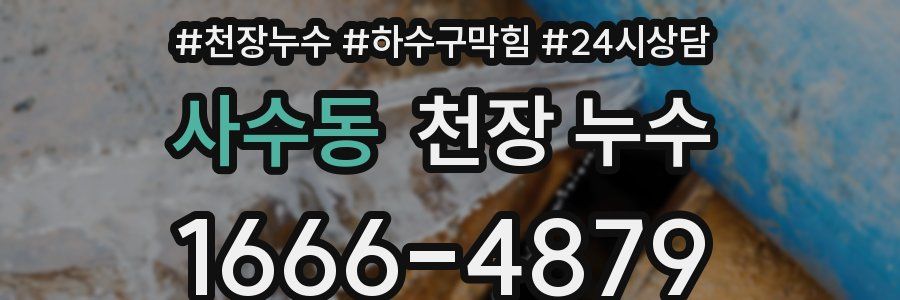 사수동 천장 누수