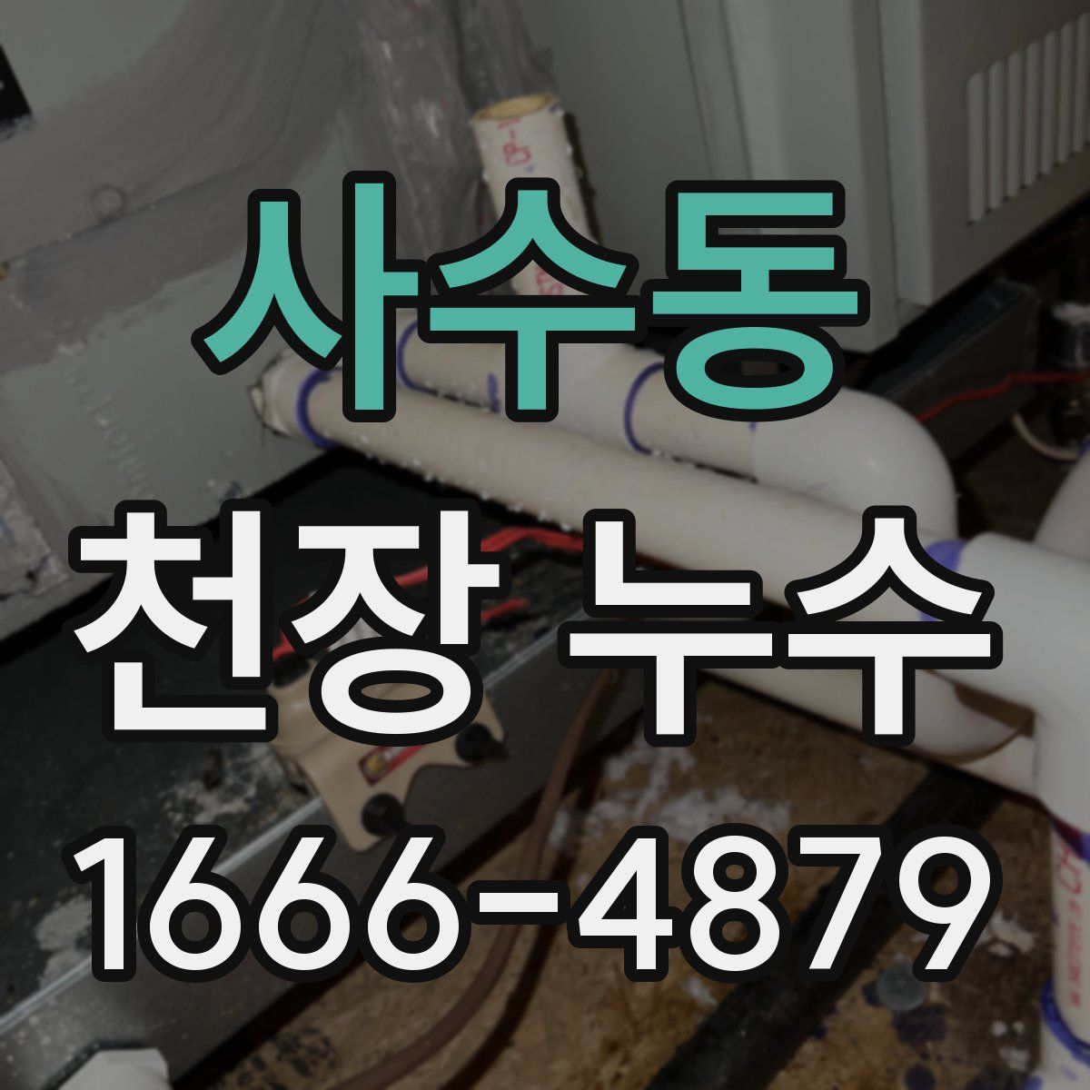 사수동 천장 누수