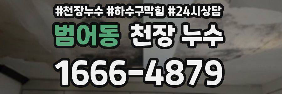범어동 천장 누수