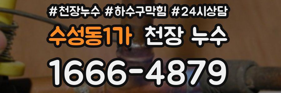 수성동1가 천장 누수