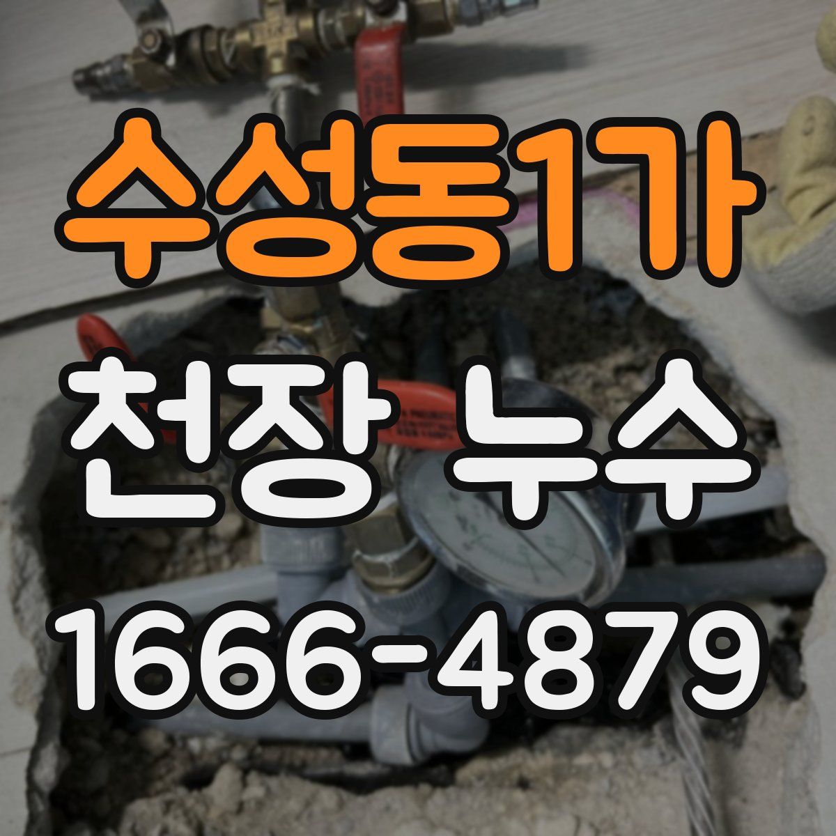 수성동1가 천장 누수