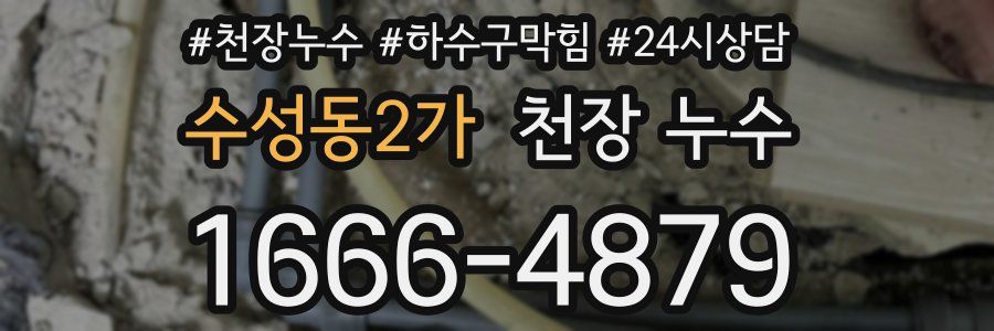 수성동2가 천장 누수