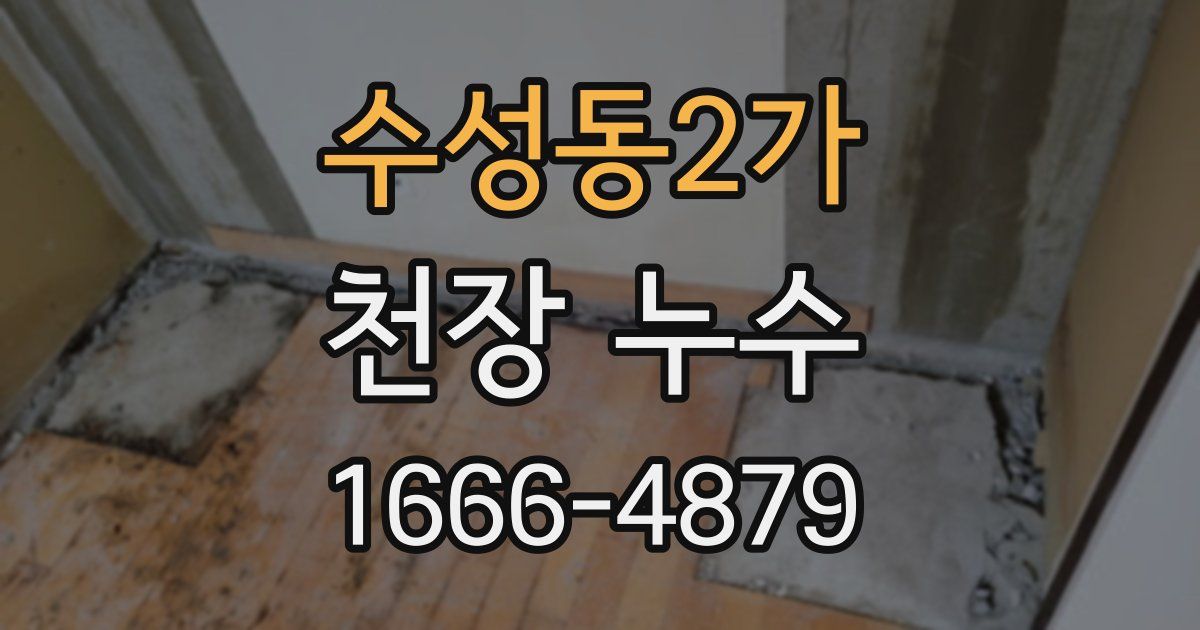 수성동2가 천장 누수