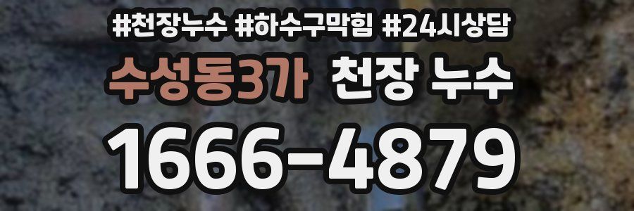 수성동3가 천장 누수