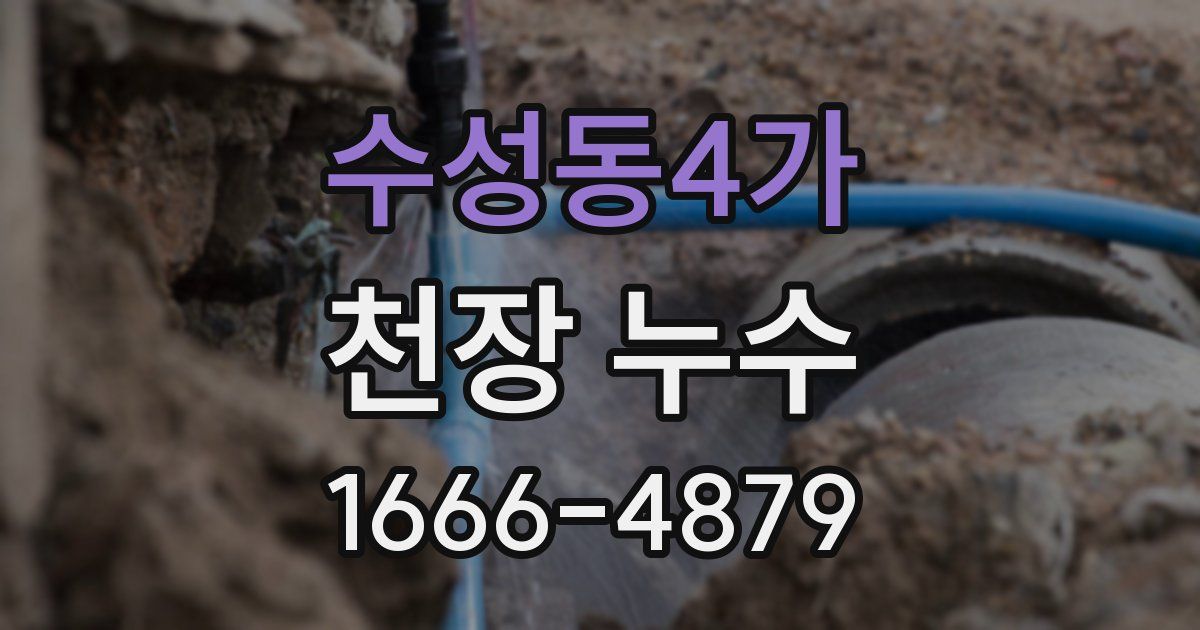 수성동4가 천장 누수