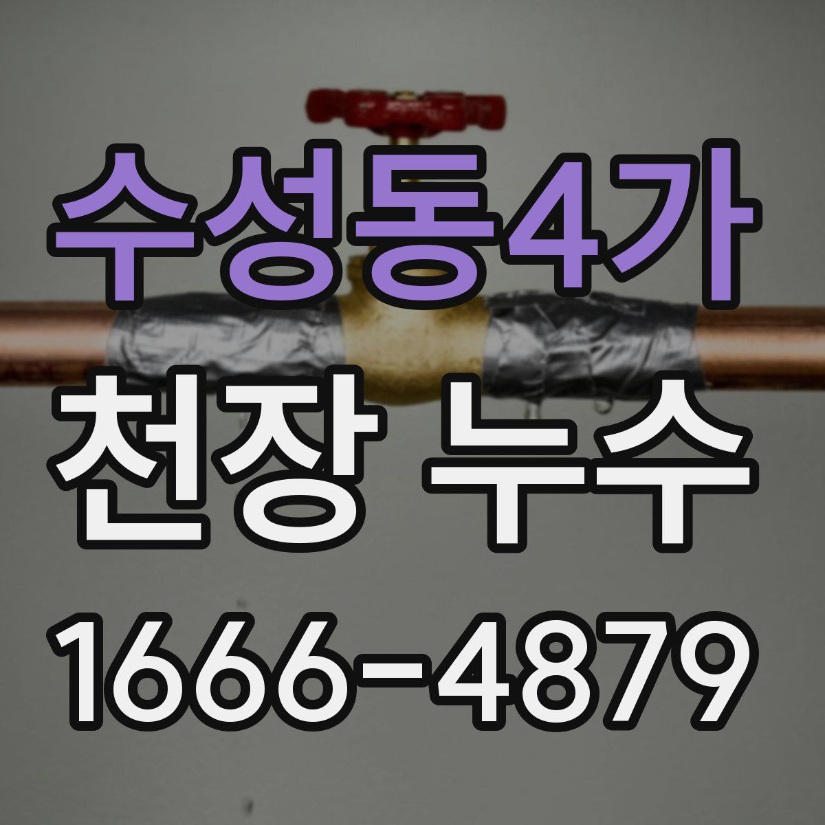 수성동4가 천장 누수