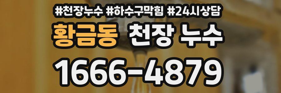 황금동 천장 누수