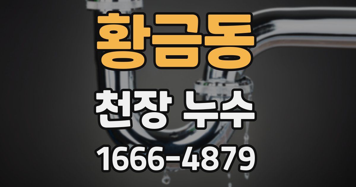 황금동 천장 누수