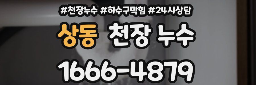 상동 천장 누수