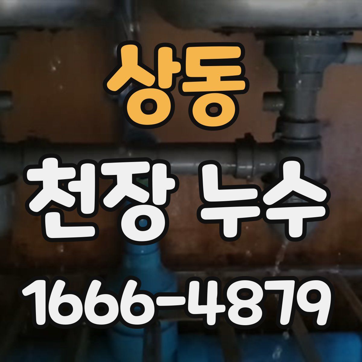 상동 천장 누수