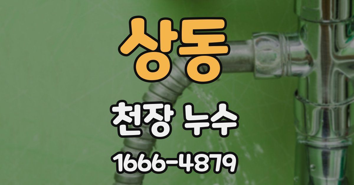 상동 천장 누수