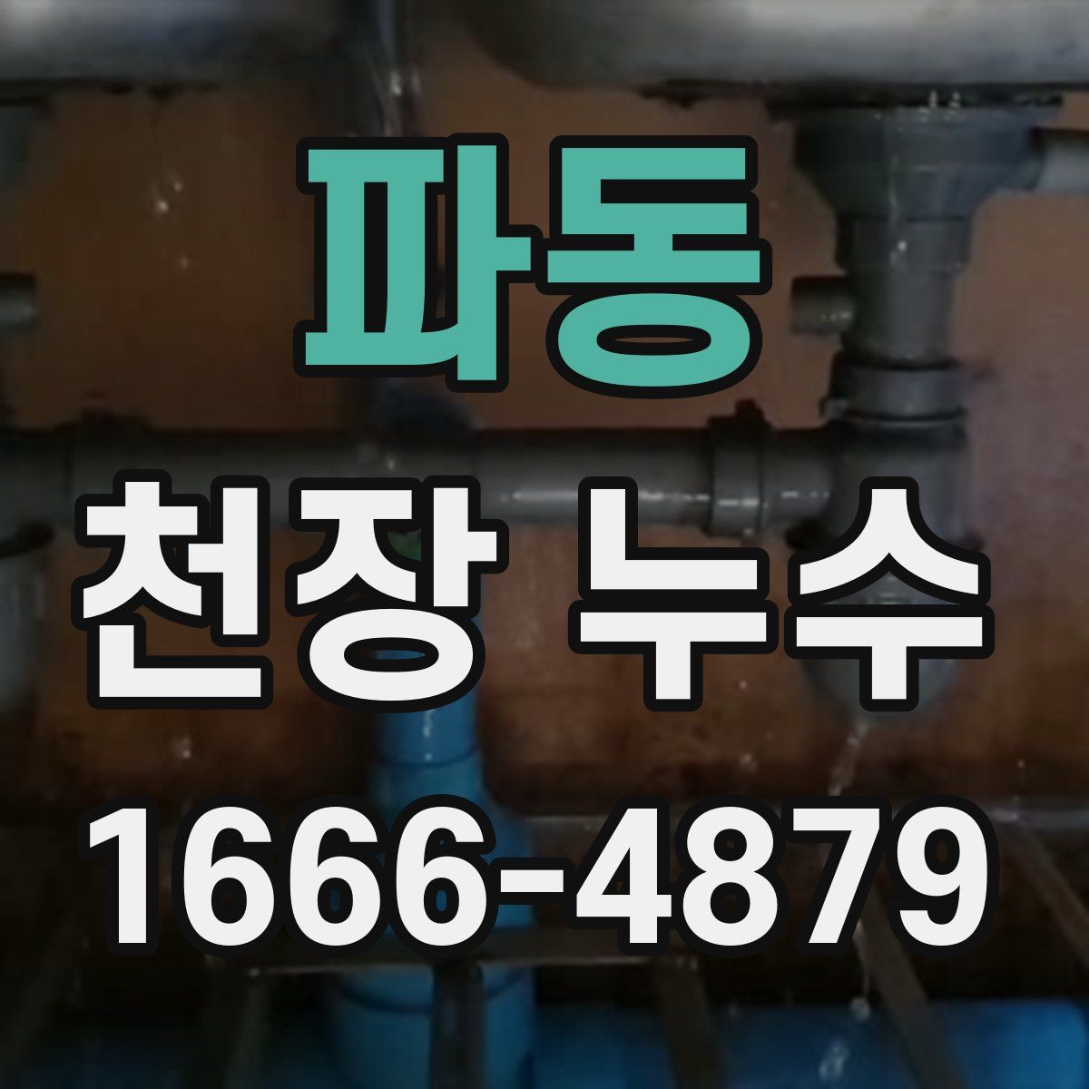 파동 천장 누수